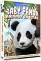 Baby panda