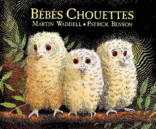Bébés chouettes