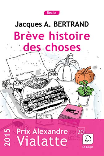 Brève histoire des choses