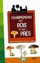 Champignons des bois et des prés