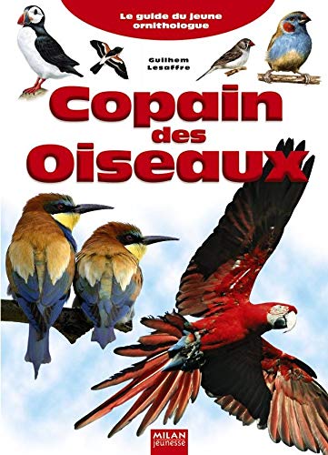 Copain des oiseaux