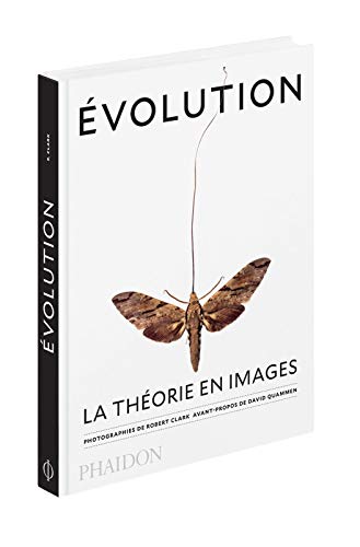 Evolution