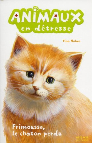 Frimousse, le chaton perdu