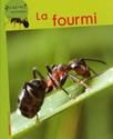 La Fourmi
