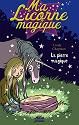 La Pierre magique