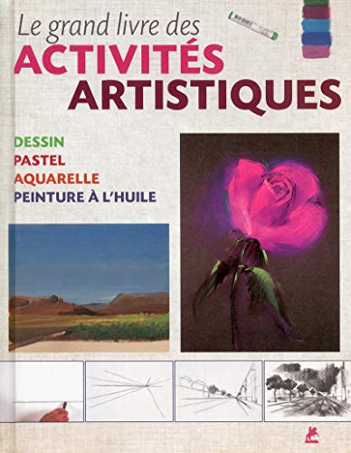 Le Grand livre des activités artistiques