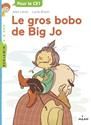 Le Gros bobo de Big Jo