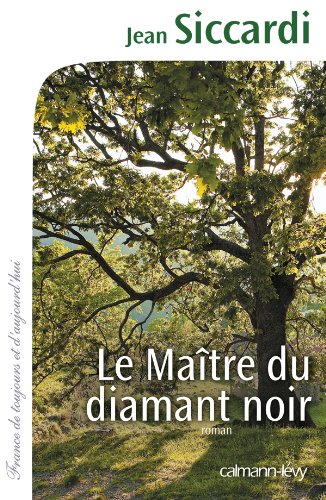 Le Maitre du diamant noir