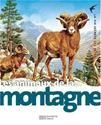 Les Animaux de la montagne