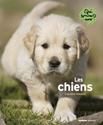 Les Chiens