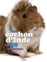 Ton cochon d'inde en 50 questions